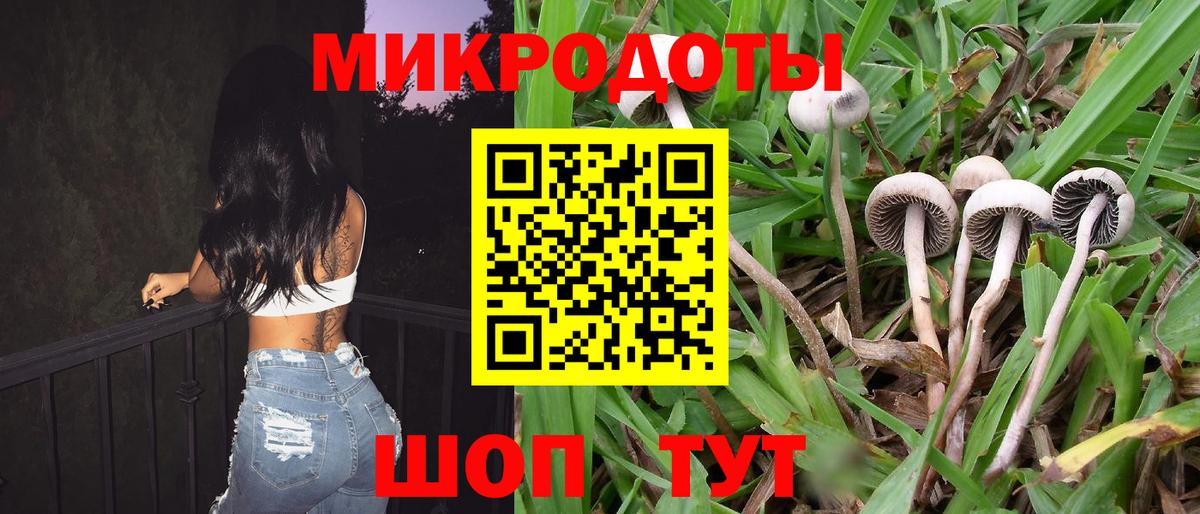 Вязьма  Галлюциногенные грибы Cubensis  Вход с VPN 